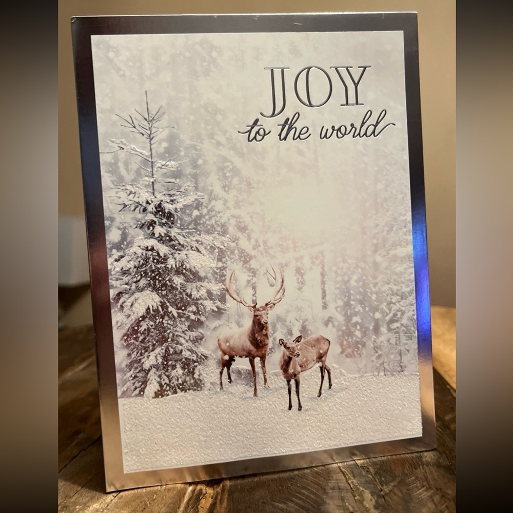 BUNDLE 8 EMBELLISHED CHRISTMAS HOLIDAY GREETING CARDS & ENVELOPES SNOWY SCENE